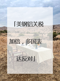 美钢铝关税加倍，多国表达反对