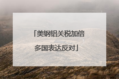 美钢铝关税加倍 多国表达反对