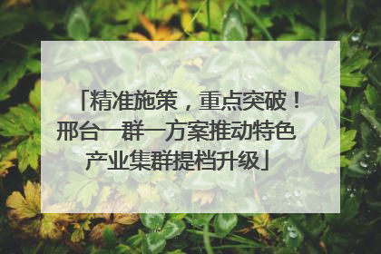 精准施策，重点突破！邢台一群一方案推动特色产业集群提档升级