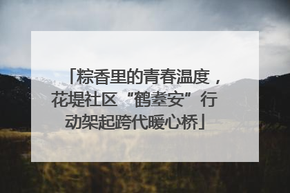 粽香里的青春温度，花堤社区“鹤耋安”行动架起跨代暖心桥