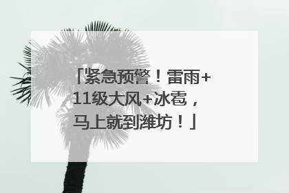 紧急预警！雷雨+11级大风+冰雹，马上就到潍坊！
