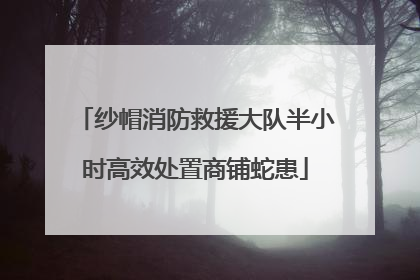 纱帽消防救援大队半小时高效处置商铺蛇患