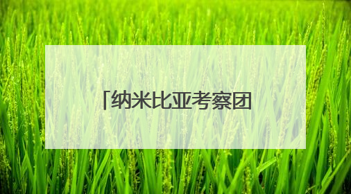 纳米比亚考察团到湘潭天易经开区考察洽谈交流