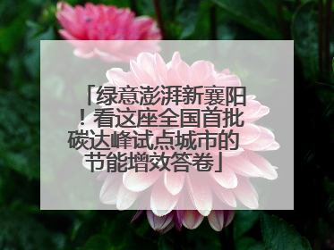 绿意澎湃新襄阳！看这座全国首批碳达峰试点城市的节能增效答卷