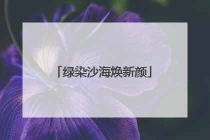 绿染沙海焕新颜