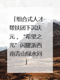 组合式人才帮扶团下沉庆元，“希望之光”闪耀浙西南青山绿水间