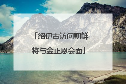 绍伊古访问朝鲜 将与金正恩会面