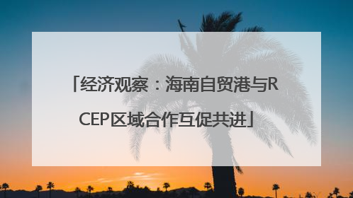 经济观察：海南自贸港与RCEP区域合作互促共进