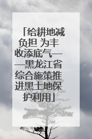 给耕地减负担 为丰收添底气——黑龙江省综合施策推进黑土地保护利用