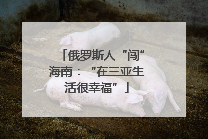 俄罗斯人“闯”海南：“在三亚生活很幸福”