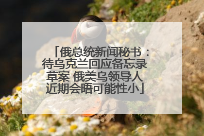 俄总统新闻秘书：待乌克兰回应备忘录草案 俄美乌领导人近期会晤可能性小