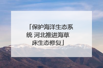 保护海洋生态系统 河北推进海草床生态修复
