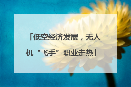 低空经济发展，无人机“飞手”职业走热