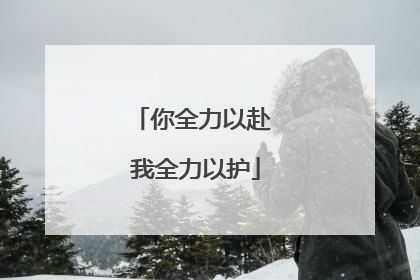 你全力以赴 我全力以护
