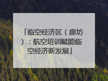 临空经济区（廊坊）：航空培训赋能临空经济新发展