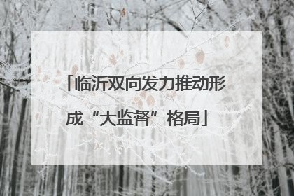 临沂双向发力推动形成“大监督”格局