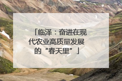 临泽：奋进在现代农业高质量发展的“春天里”