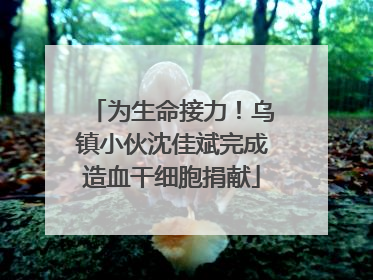 为生命接力！乌镇小伙沈佳斌完成造血干细胞捐献