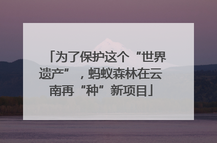 为了保护这个“世界遗产”，蚂蚁森林在云南再“种”新项目