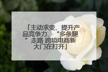 主动求变、提升产品竞争力、“多条腿”走路 跨境电商新大门在打开