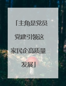 主角是党员 党建引领这家民企高质量发展