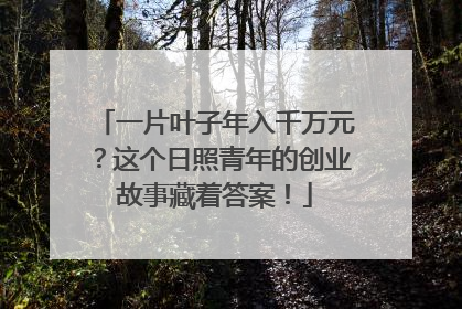 一片叶子年入千万元？这个日照青年的创业故事藏着答案！