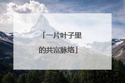 一片叶子里的共富脉络