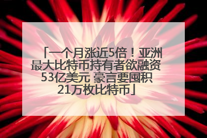 一个月涨近5倍！亚洲最大比特币持有者欲融资53亿美元 豪言要囤积21万枚比特币