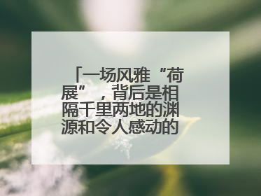 一场风雅“荷展”，背后是相隔千里两地的渊源和令人感动的历史人文情怀