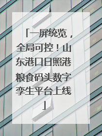 一屏统览，全局可控！山东港口日照港粮食码头数字孪生平台上线