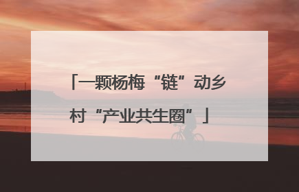 一颗杨梅“链”动乡村“产业共生圈”