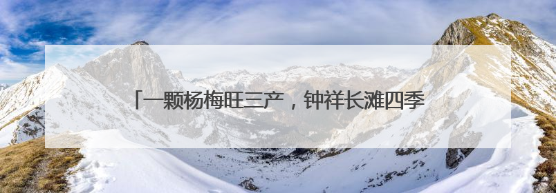 一颗杨梅旺三产，钟祥长滩四季采摘带给游客“舌尖上的惊喜”