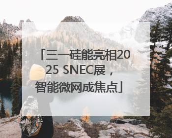 三一硅能亮相2025 SNEC展，智能微网成焦点