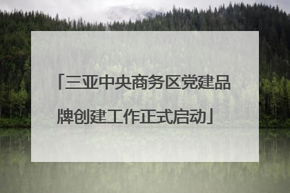 三亚中央商务区党建品牌创建工作正式启动