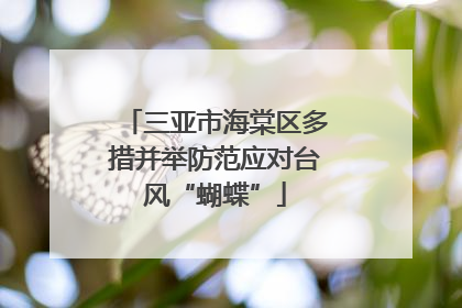 三亚市海棠区多措并举防范应对台风“蝴蝶”