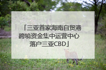 三亚首家海南自贸港跨境资金集中运营中心落户三亚CBD