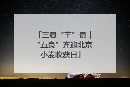 三夏“丰”景｜“五良”齐迎北京小麦收获日