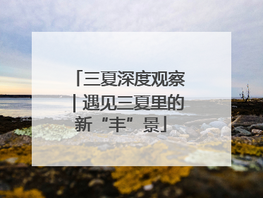 三夏深度观察｜遇见三夏里的新“丰”景