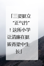 三姿挺立“正气竹”！这所小学让清廉在挺拔脊梁中生长