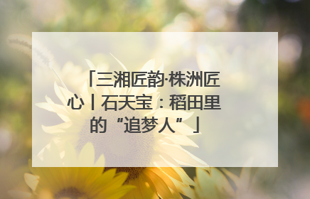 三湘匠韵·株洲匠心丨石天宝：稻田里的“追梦人”