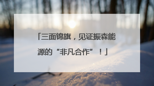 三面锦旗，见证振森能源的“非凡合作”！