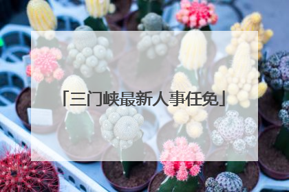 三门峡最新人事任免