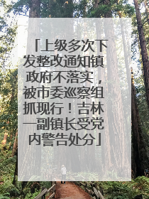 上级多次下发整改通知镇政府不落实，被市委巡察组抓现行！吉林一副镇长受党内警告处分