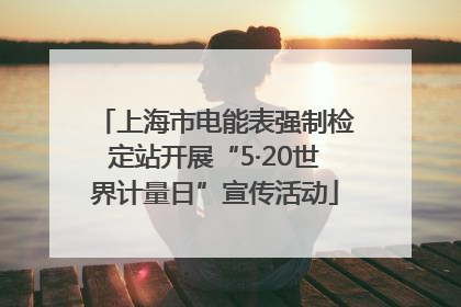 上海市电能表强制检定站开展“5·20世界计量日”宣传活动