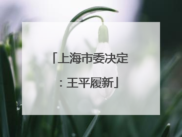 上海市委决定：王平履新