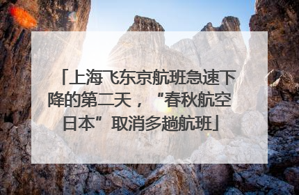 上海飞东京航班急速下降的第二天，“春秋航空日本”取消多趟航班