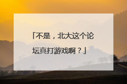 不是，北大这个论坛真打游戏啊？