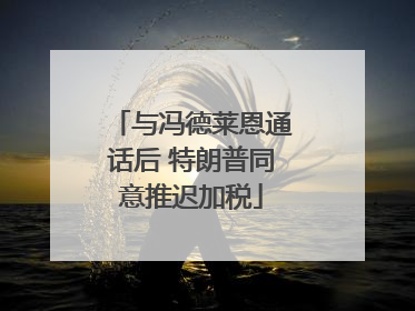 与冯德莱恩通话后 特朗普同意推迟加税