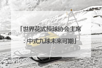 世界花式撞球协会主席：中式九球未来可期