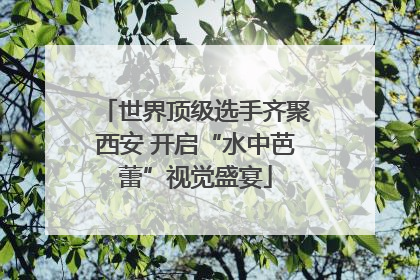 世界顶级选手齐聚西安 开启“水中芭蕾”视觉盛宴